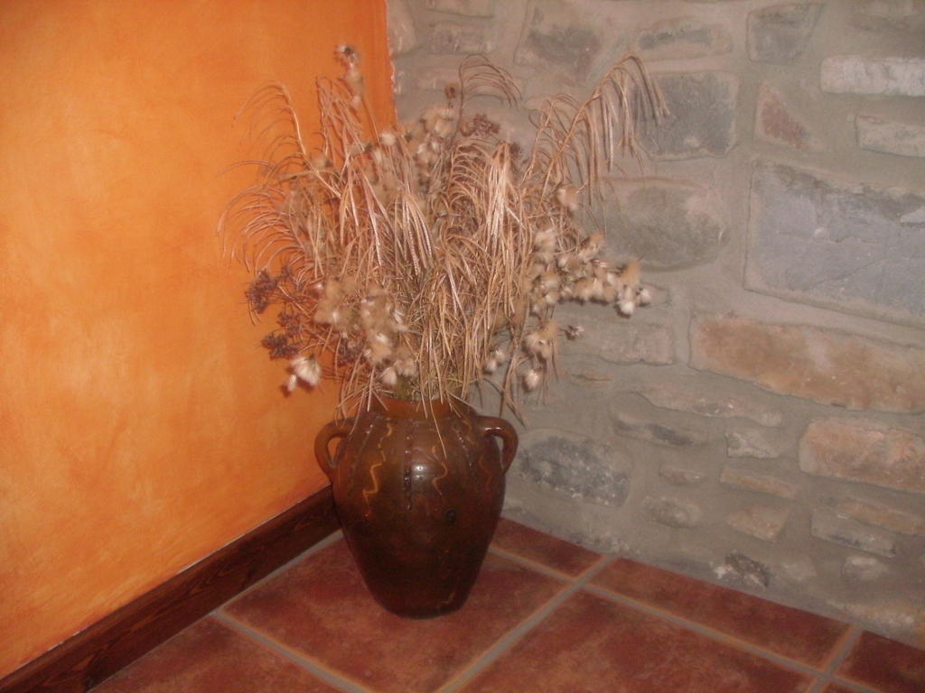 Apartamento La Corralata Biescas  Habitación foto